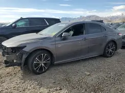 4T1J11BK7LU001855 2020 TOYOTA CAMRY
