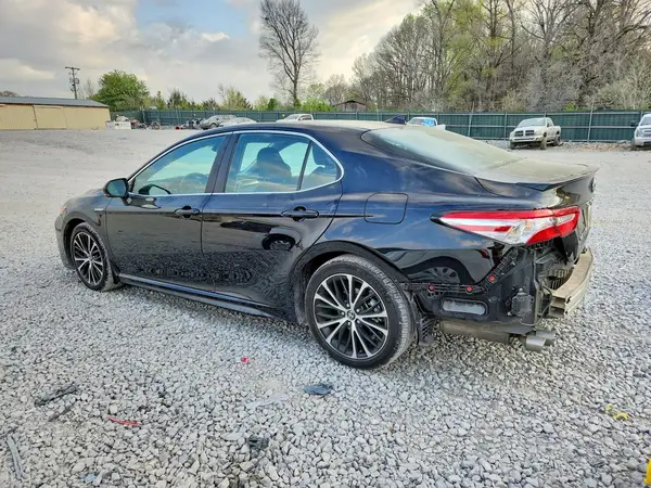 4T1J31AK0LU531354 2020 TOYOTA CAMRY - Image 2