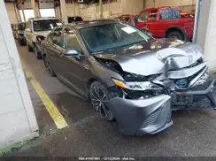 4T1J31AK0LU543181 2020 TOYOTA CAMRY