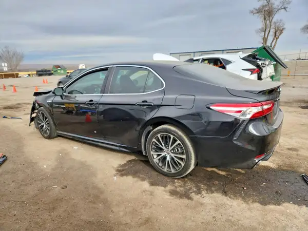 4T1J31AK1LU533212 2020 TOYOTA CAMRY - Image 2