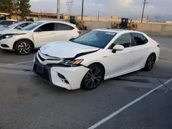 4T1J31AK4LU544401 2020 TOYOTA CAMRY