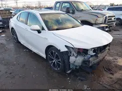 4T1J31AK8LU529240 2020 TOYOTA CAMRY