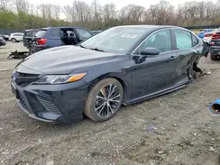 4T1J31AK8LU530534 2020 TOYOTA CAMRY