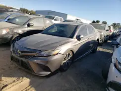 4T1J31AK8LU531201 2020 TOYOTA CAMRY