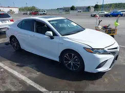 4T1J31AK8LU534888 2020 TOYOTA CAMRY