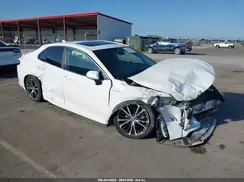 4T1J31AK8LU542361 2020 TOYOTA CAMRY