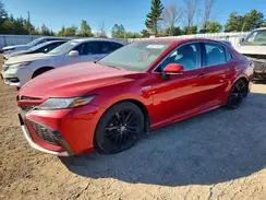 4T1K31AK1MU020029 2021 TOYOTA CAMRY