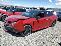 4T1K31AK9MU020408 2021 TOYOTA CAMRY