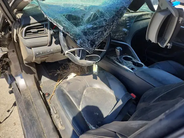 4T1K61AK0LU873835 2020 TOYOTA CAMRY - Image 8