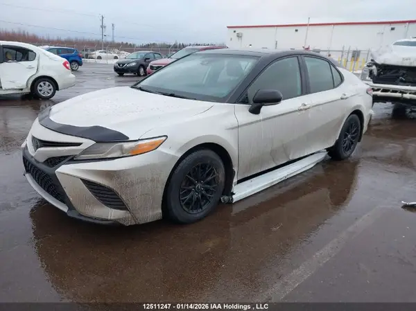 4T1K61AK1LU315833 2020 TOYOTA CAMRY - Image 2