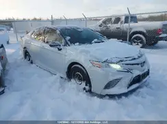 4T1K61AK1LU318151 2020 TOYOTA CAMRY