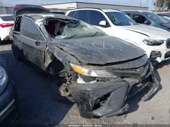 4T1K61AK4LU303885 2020 TOYOTA CAMRY