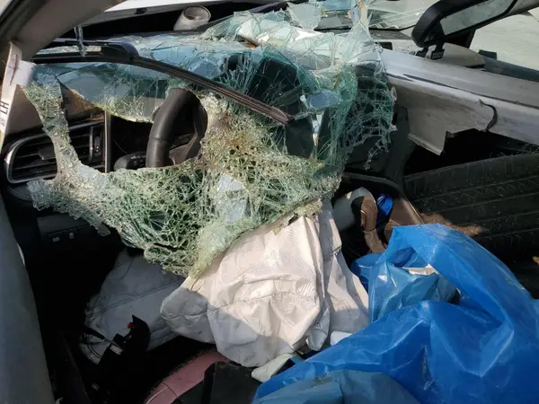 4T1K61AK7NU009559 2022 TOYOTA CAMRY - Image 8