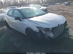 4T1KZ1AK0MU048001 2021 TOYOTA CAMRY