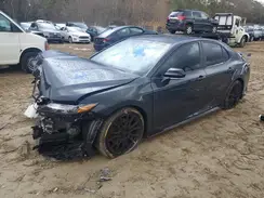 4T1KZ1AK5RU099291 2024 TOYOTA CAMRY