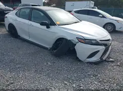 4T1KZ1AK8RU093274 2024 TOYOTA CAMRY