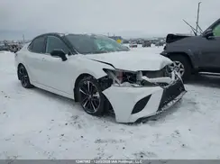 4T1KZ1AKXLU043533 2020 TOYOTA CAMRY