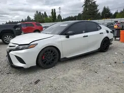 4T1KZ1AKXMU051987 2021 TOYOTA CAMRY