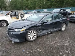 4T1L11AK5LU885613 2020 TOYOTA CAMRY