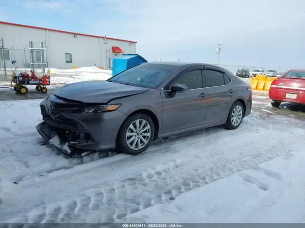 4T1L11AKXLU883226 2020 TOYOTA CAMRY - Image 2
