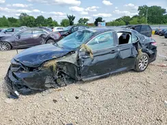 4T1L11BK4LU007427 2020 TOYOTA CAMRY
