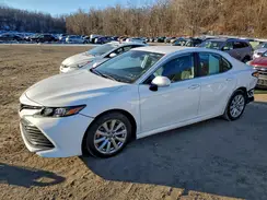 4T1L11BK9LU006306 2020 TOYOTA CAMRY