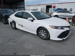 4T1L31AK1LU523398 2020 TOYOTA CAMRY