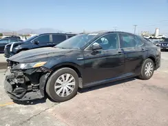4T1L31AK4LU536081 2020 TOYOTA CAMRY