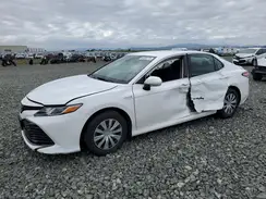 4T1L31AK5LU545503 2020 TOYOTA CAMRY