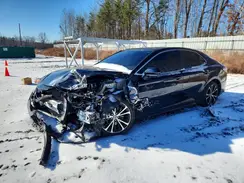 4T1M11AK0LU389025 2020 TOYOTA CAMRY