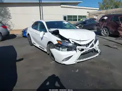 4T1M11AK0LU956396 2020 TOYOTA CAMRY