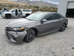 4T1M11AK1LU890621 2020 TOYOTA CAMRY