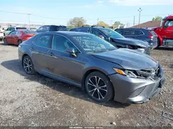 4T1M11AK2LU898081 2020 TOYOTA CAMRY