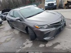 4T1M11AK2LU981560 2020 TOYOTA CAMRY