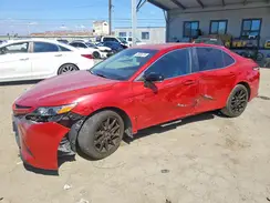 4T1M11AK7LU365482 2020 TOYOTA CAMRY