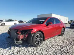 4T1M11AK7LU384937 2020 TOYOTA CAMRY