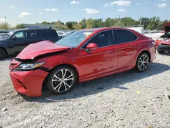 4T1M11AK8LU365037 2020 TOYOTA CAMRY