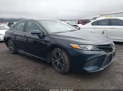 4T1M11AK9LU399925 2020 TOYOTA CAMRY