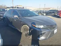 4T1M11AK9LU930024 2020 TOYOTA CAMRY