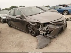 4T1M11BK7LU015123 2020 TOYOTA CAMRY