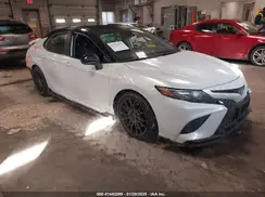 4T1NZ1AK7LU040442 2020 TOYOTA CAMRY