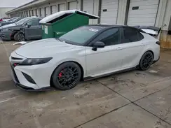 4T1NZ1AK8LU039509 2020 TOYOTA CAMRY