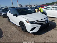 4T1NZ1AK8LU042927 2020 TOYOTA CAMRY