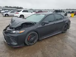 4T1NZ1AK8LU043687 2020 TOYOTA CAMRY