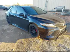4T1NZ1AK9LU036120 2020 TOYOTA CAMRY