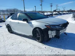 4T1NZ1AKXLU040726 2020 TOYOTA CAMRY