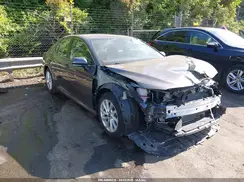 4T1R11AK8PU165917 2023 TOYOTA CAMRY