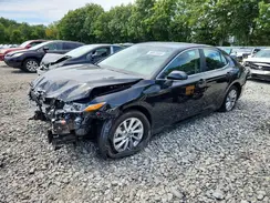 4T1R11BK0RU116504 2024 TOYOTA CAMRY
