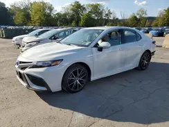 4T1S11AK0PU129169 2023 TOYOTA CAMRY