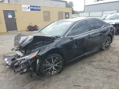 4T1S11AK0PU809377 2023 TOYOTA CAMRY